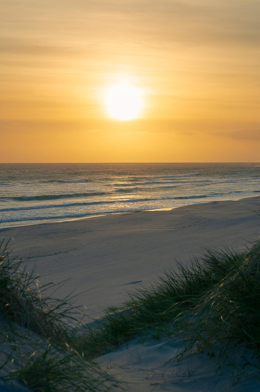 Sunset in dunes